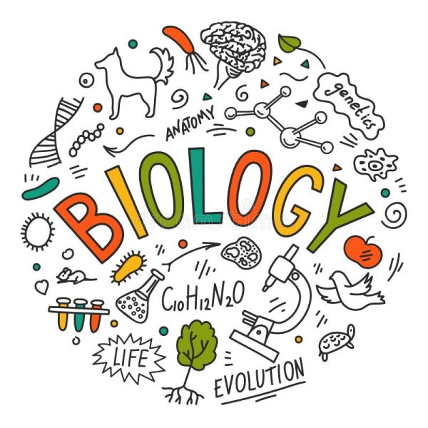 Biology hand drawn illustration